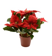 Pianta Decorativa Lifetime Rosso Stella di Natale Ø 27 cm