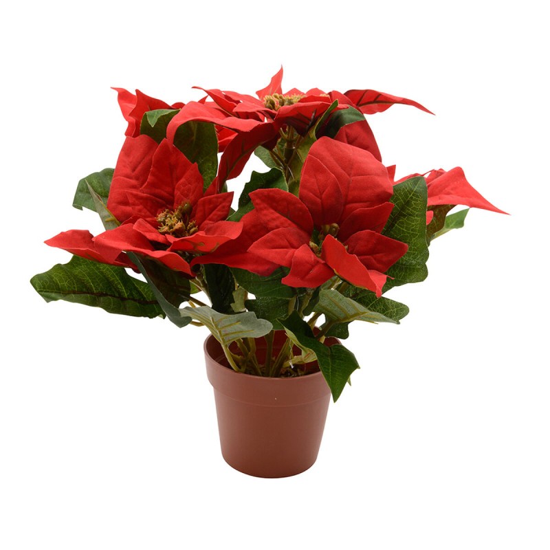 Pianta Decorativa Lifetime Rosso Stella di Natale Ø 27 cm