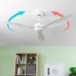 Ventilatore da Soffitto con Luce LED 36 W 52" Ø132 cm