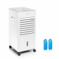 Climatizzatore Evaporativo Portatile Multifunzione Airvecove InnovaGoods 5 L 65 W