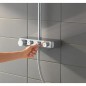 Colonna doccia Grohe Euphoria