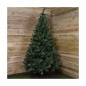 Albero di Natale Pino Verde (210 cm)